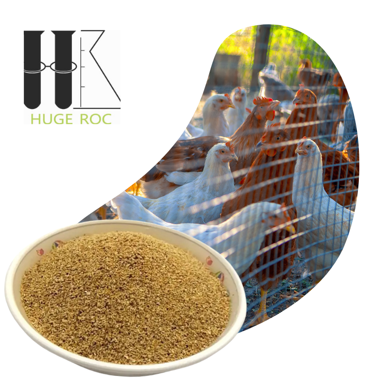 Choline chloride 60%