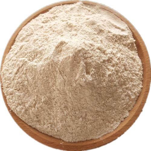 Rice Protein