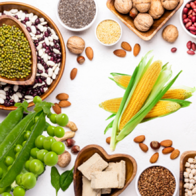 植物蛋白 (300 x 300 像素)